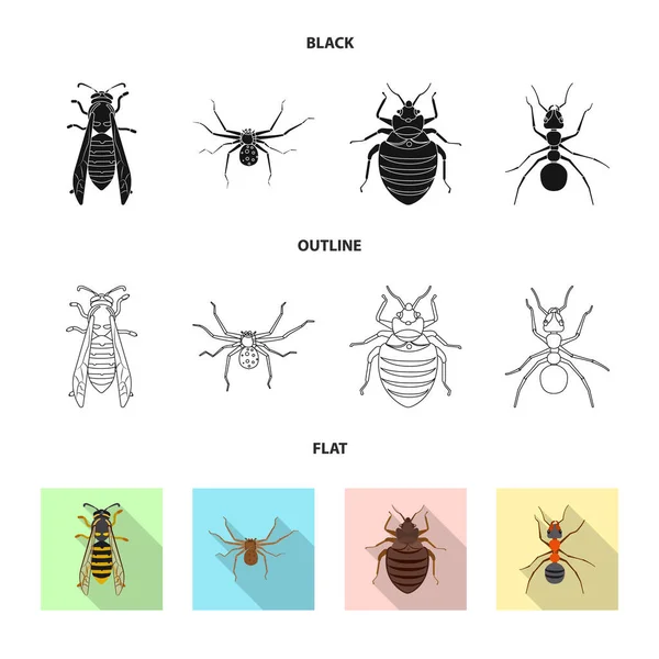 곤충 및 비행 상징의 고립 된 개체입니다. 웹에 대 한 곤충과 요소 주식 기호 집합. — 스톡 벡터