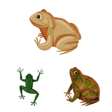 Kurbağa ve Anuran logosunun vektör tasarımı. Ağ için kurbağa ve hayvan stoku sembolü koleksiyonu.