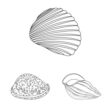 Vektör tasarımı egzotik ve deniz ürünleri oturum açın. Web için egzotik ve su hisse senedi simgesi kümesi.