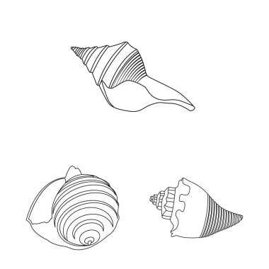 Egzotik ve deniz ürünleri simge vektör tasarımı. Web için egzotik ve su hisse senedi simgesi kümesi.