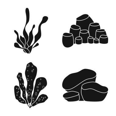 Dekorasyon ve vahşi yaşam işaretinin vektör çizimi. Web için dekorasyon ve akvaryum stok sembolü koleksiyonu.