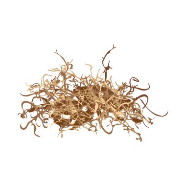 İzole edilmiş atık ve malzeme logosu. Stok için atık ve şeker kamışı vektör simgesi grafiği.