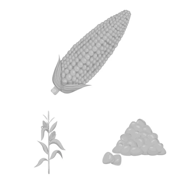 Vektorillustration von Landwirtschaft und Ernährungssymbol. Landwirtschafts- und Gemüse-Vektorsymbole für Aktien. — Stockvektor