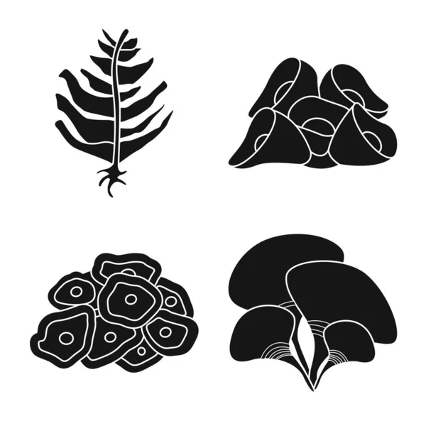 Geïsoleerd object van decoratie en wildlife logo. Verzameling van decoratie en aquarium vector illustratie. — Stockvector