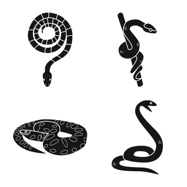 Objeto isolado de cobra e ícone assustador. Coleção de cobra e veneno estoque vetor ilustração . — Vetor de Stock