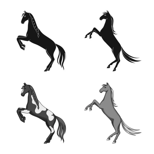 Ilustração vetorial de raça e signo equestre. Conjunto de raça e égua ilustração vetorial . —  Vetores de Stock