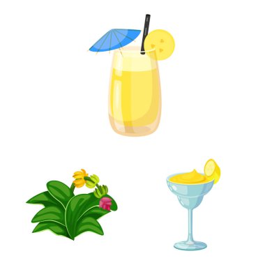 Tropikal ve olgun işareti vektör tasarımı. Stok için tropikal ve potasyum vektör simgesi seti.