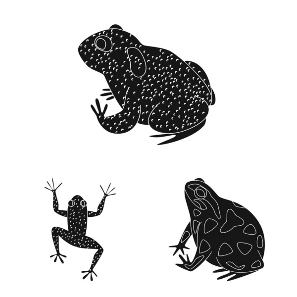 Objeto aislado de fauna e ícono de reptil. Conjunto de fauna y anuran vector icono para stock . — Vector de stock