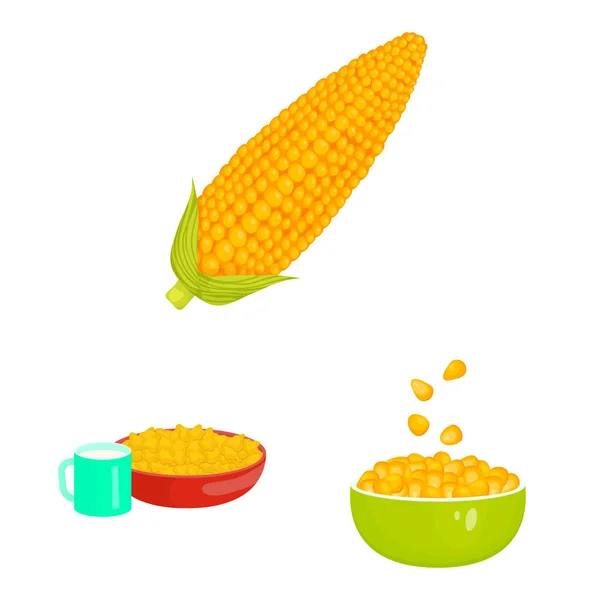 Vektor ilustrasi jagung dan ikon makanan. Kumpulan dari jagung dan tanaman simbol saham untuk web . - Stok Vektor