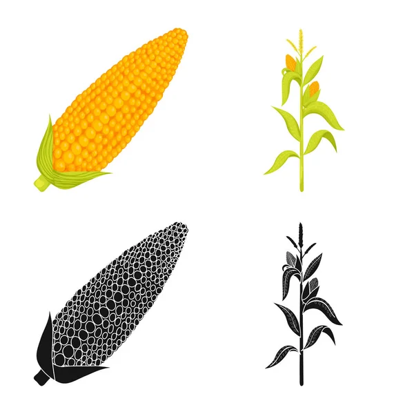 Векторний дизайн кукурудзяного поля та логотипу овочів. Набір кукурудзяного поля та вегетаріанського символу для Інтернету . — стоковий вектор