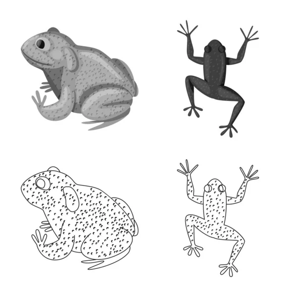 Isolerat föremål av vilda djur och bog logotyp. Uppsättning av vilda djur och reptiler Stock Vector illustration. — Stock vektor