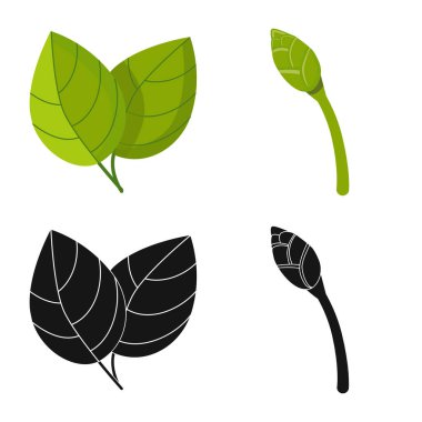 Taze ve ürün işaretiizole nesne. Taze ve asya stok vektör illüstrasyon seti.