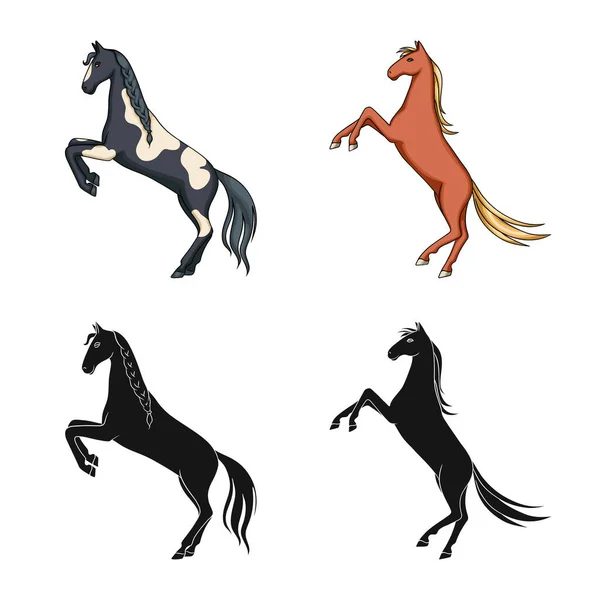 Projeto vetorial de raça e logotipo equestre. Conjunto de raça e égua símbolo de estoque para web . —  Vetores de Stock