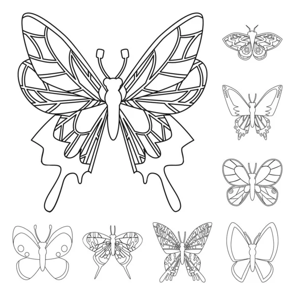 Objet isolé de mouche et signe décoratif. Collection d'icônes vectorielles de mouches et d'insectes en stock . — Image vectorielle