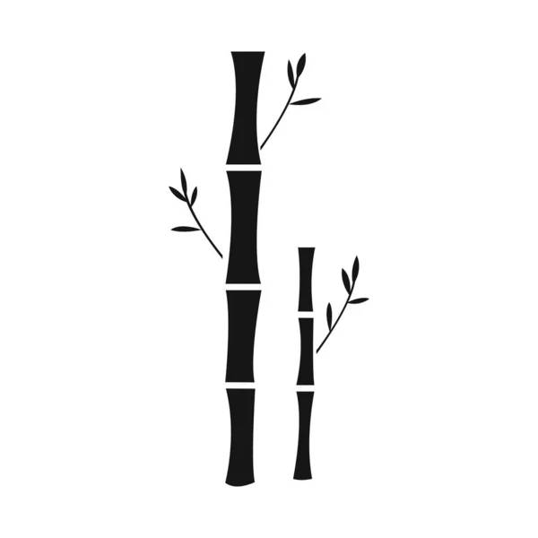 Izolowany obiekt z bambusa i ikony drzewa. Zestaw bambusa i zielony wektor ilustracji. — Wektor stockowy