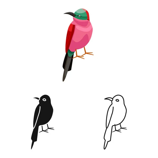 Illustration vectorielle de l'icône oiseau et mangeur d'abeilles. Collection d'illustration vectorielle de stock d'oiseaux et d'ailes . — Image vectorielle