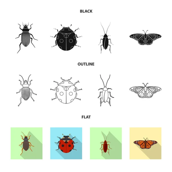 곤충 및 비행 상징의 벡터 디자인입니다. 웹에 대 한 곤충과 요소 주식 기호 집합. — 스톡 벡터
