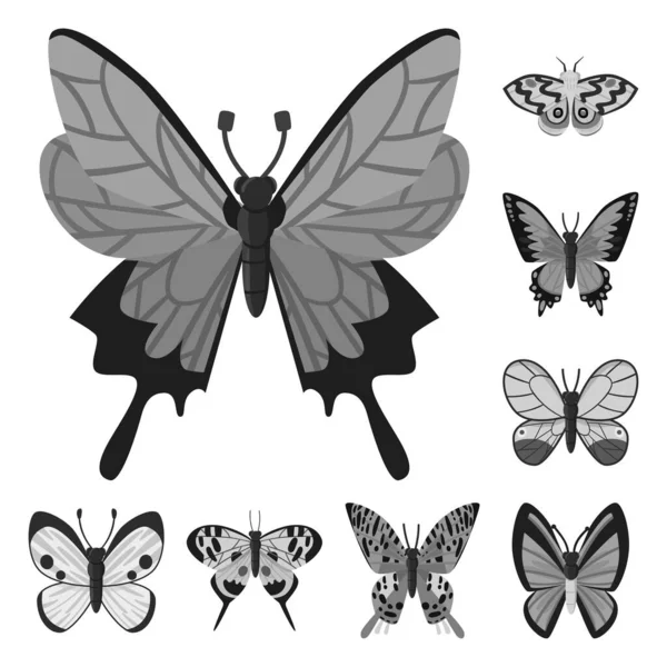 Objet isolé de mouche et icône d'insecte. Collection de mouches et d'icônes vectorielles botaniques en stock . — Image vectorielle