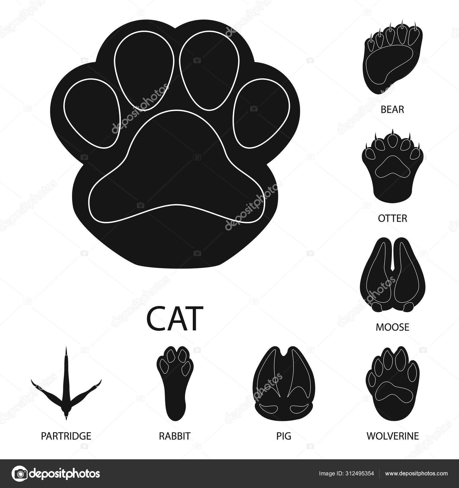 Wolverine paw print Vector Art Stock Images | Depositphotos Wolverine paw print Vector Art Stock Images | Depositphotos