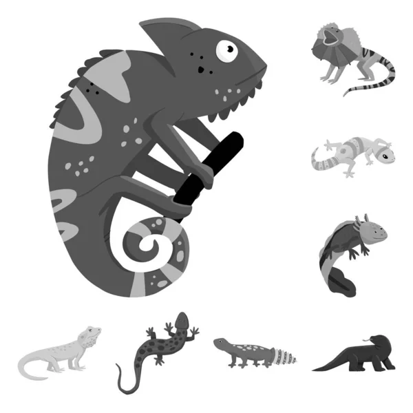 Vektortervezés a vadon élő és egzotikus szimbólum. Vadon élő állat-és állatállomány vektorgrafikus illusztrációja. — Stock Vector
