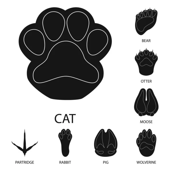 Vector design of feet and fauna sign. Set of feet and print vector icon for stock. Royalty Free Stock Vectors