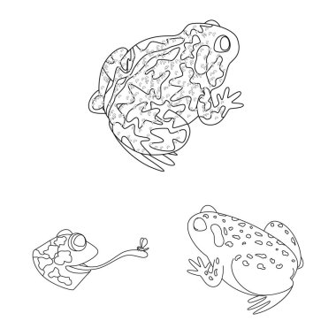 Amfibi ve hayvan ikonunun vektör çizimi. Ağ için amfibi ve doğa sembolü koleksiyonu.
