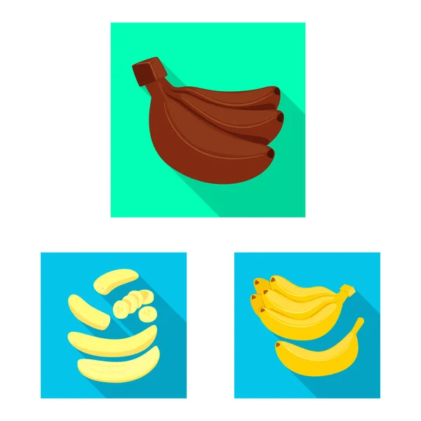 Diseño vectorial de icono natural y vegetariano. Conjunto de símbolo de stock natural y comestible para web . — Vector de stock