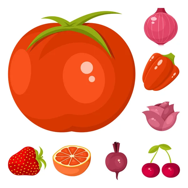 Векторное оформление иконы овощей и продуктов питания. Коллекция векторных иллюстраций овощей и спелых растений . — стоковый вектор