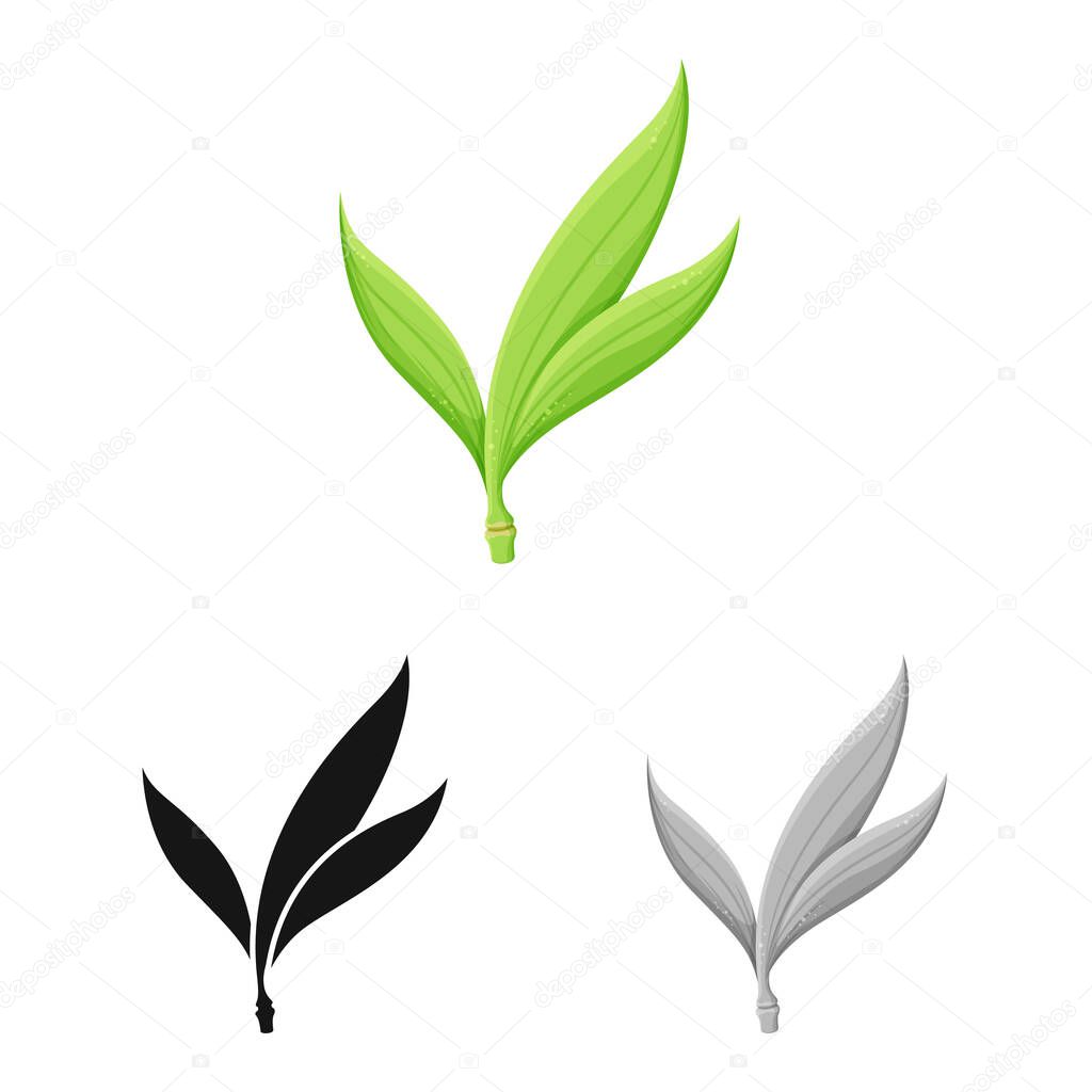 Vector illustration of leaf and sugar icon. Graphic of leaf and green stock symbol for web.