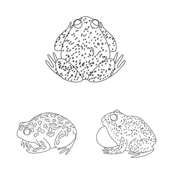 Oggetto isolato di segno anfibio e animale. Serie di illustrazione vettoriale anfibia e naturale . — Vettoriale Stock