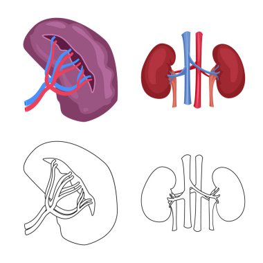 Vücut ve insan simge vektör Illustration. Vücut ve tıbbi hisse senedi vektör çizim koleksiyonu.