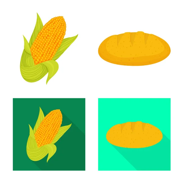 Oggetto isolato di campo di grano e logo vegetale. Set di cornfield e icona vettoriale vegetariana per magazzino . — Vettoriale Stock