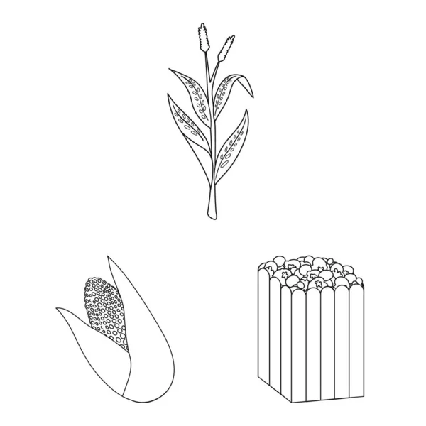 Tarla ve ekin logosunun izole edilmiş nesnesi. Ağ için tarım ve besin stoku sembolü koleksiyonu. — Stok Vektör
