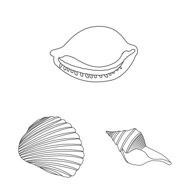 Egzotik ve deniz ürünleri simge vektör tasarımı. Hisse senedi için egzotik ve su vektör simge topluluğu.