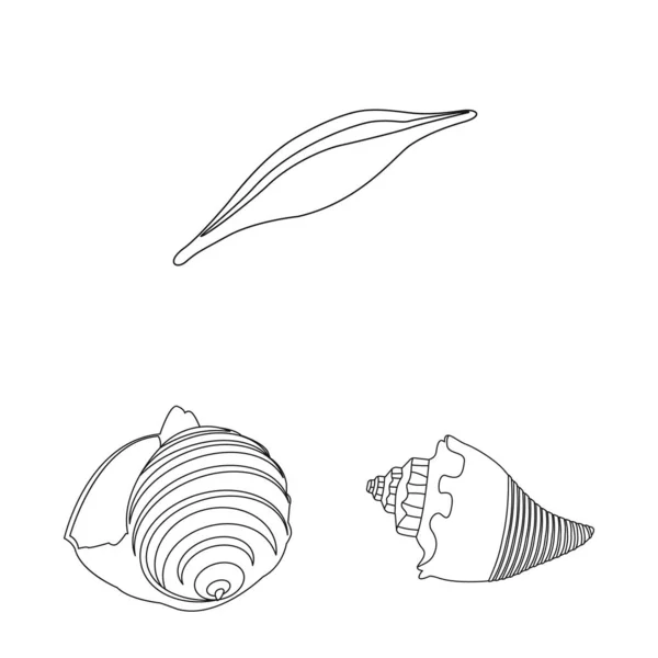 Objeto isolado de ícone exótico e de frutos do mar. Conjunto de ilustração de vetores exóticos e aquáticos . — Vetor de Stock