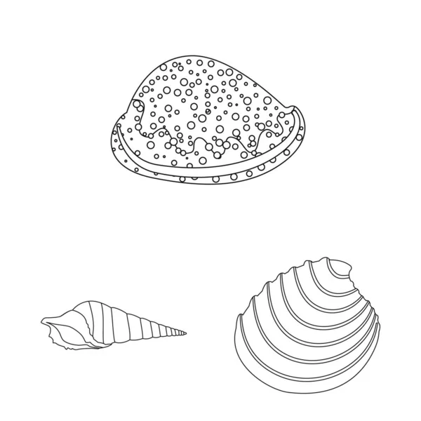 Vektor Illustration von exotischen und Meeresfrüchten Zeichen. Set exotischer und aquatischer Aktienvektorillustrationen. — Stockvektor