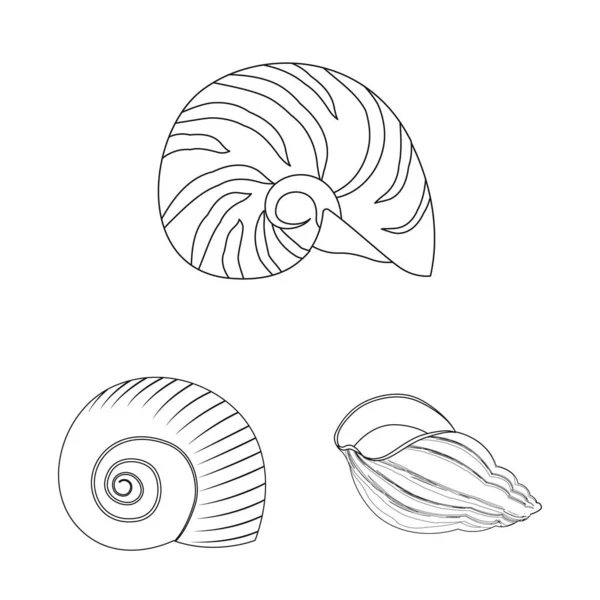 Vektor illustration av exotiska och skaldjur ikon. Uppsättning av exotiska och akvatiska bestånd vektor illustration. — Stock vektor