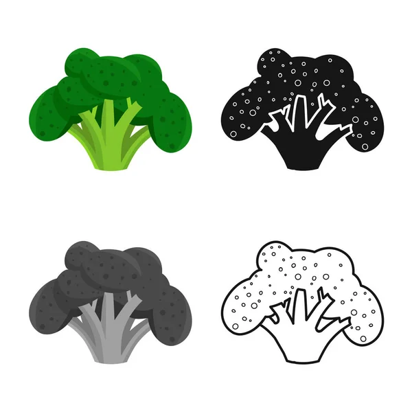 Vektorillustration von Brokkoli und Kohlsymbol. Brokkoli-Set und Inhaltsstoff-Aktiensymbol für Web. — Stockvektor