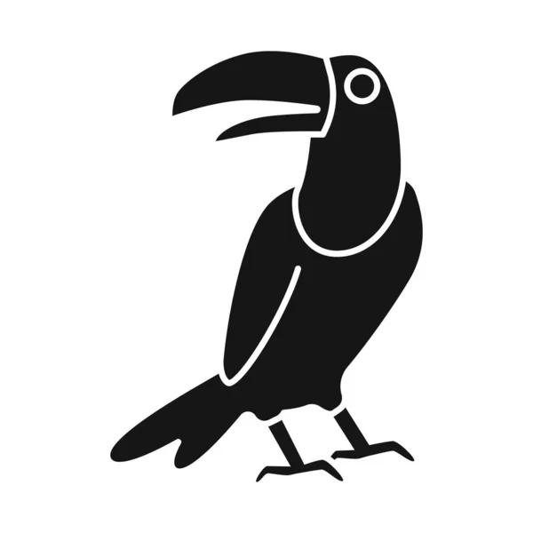 Projekt wektorowy znaku tukan i ptaków. Kolekcja ikony wektora tukanu i dżungli dla magazynu. — Wektor stockowy