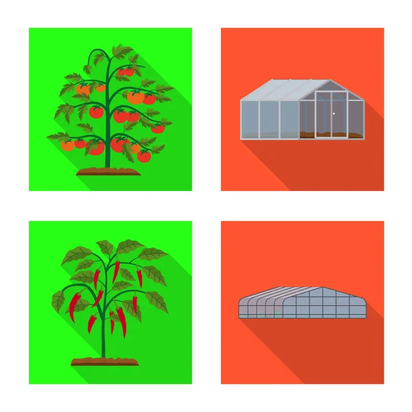 Na białym tle obiekt symbolu cieplarnianych i roślin. Zestaw cieplarnianych i ogród Stockowa ilustracja wektorowa. — Wektor stockowy