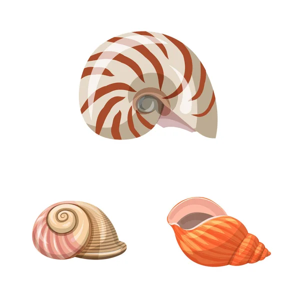 Vector illustratie van Seashell en weekdier teken. Set van Seashell en zeevruchten voorraad symbool voor web. — Stockvector