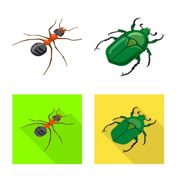 Objeto aislado de la naturaleza e icono de la vida silvestre. Colección de la naturaleza y el símbolo de stock de ala para la web . — Vector de stock