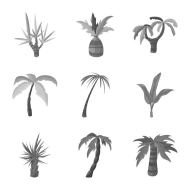 Ormanın vektör tasarımı ve botanik sembolü. Stok için orman ve bitki vektör simgesi kümesi.