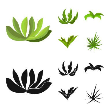 Çevre düzenlemesinin izole nesnesi ve yaz ikonu. Ağ için peyzaj ve çevre sembolü seti.