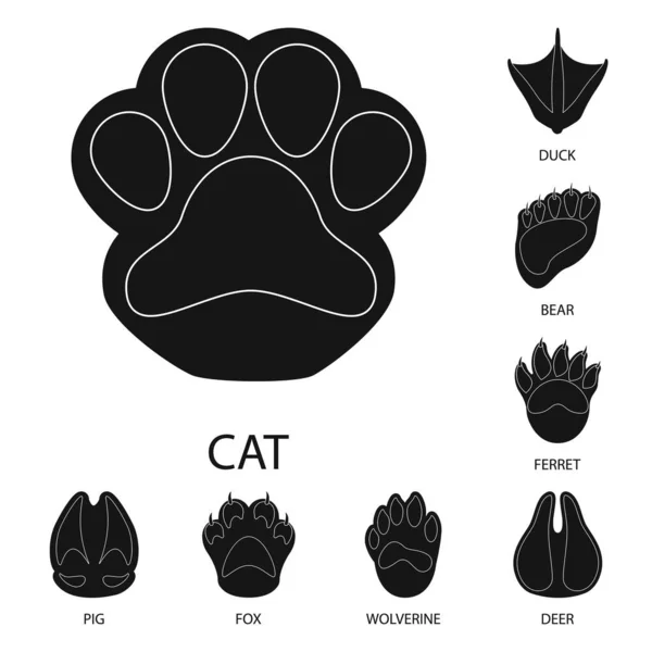 Vektordesign von Füßen und Fauna-Symbol. Fußsatz und Druckstock-Symbol für Web. — Stockvektor