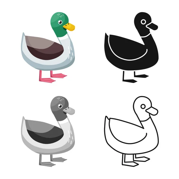 Isolated object of duck and bird symbol. Collection of duck and drake stock vector illustration. — Stock Vector