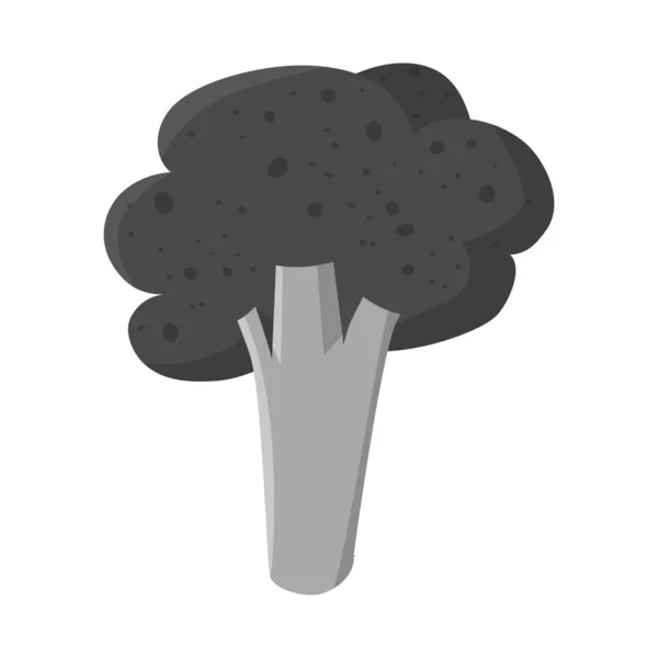 Ilustración vectorial de brócoli y logotipo del corazón. Conjunto de brócoli e icono de vector de frescura para stock . — Archivo Imágenes Vectoriales