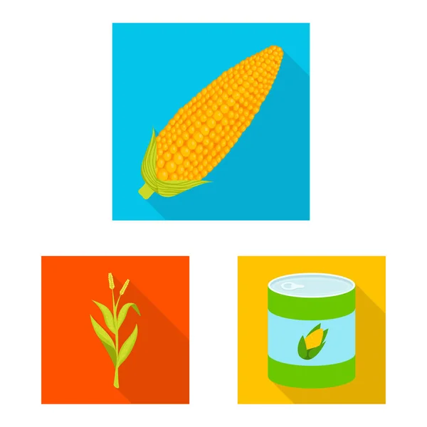 Objeto isolado do campo de milho e símbolo vegetal. Conjunto de campo de milho e ícone vetorial vegetariano para estoque . — Vetor de Stock