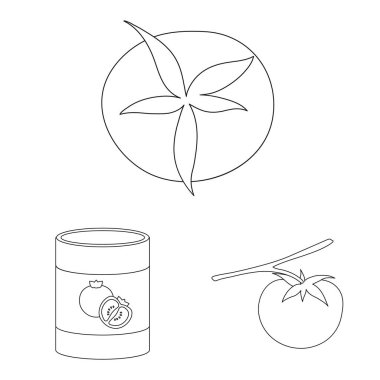 Domates ve diyet ikonunun vektör tasarımı. Tomat ve tarım stok vektörü illüstrasyonunun toplanması.