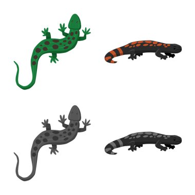 Kuyruk ve fauna sembolüizole nesne. Kuyruk ve çevre stok vektör illüstrasyon seti.